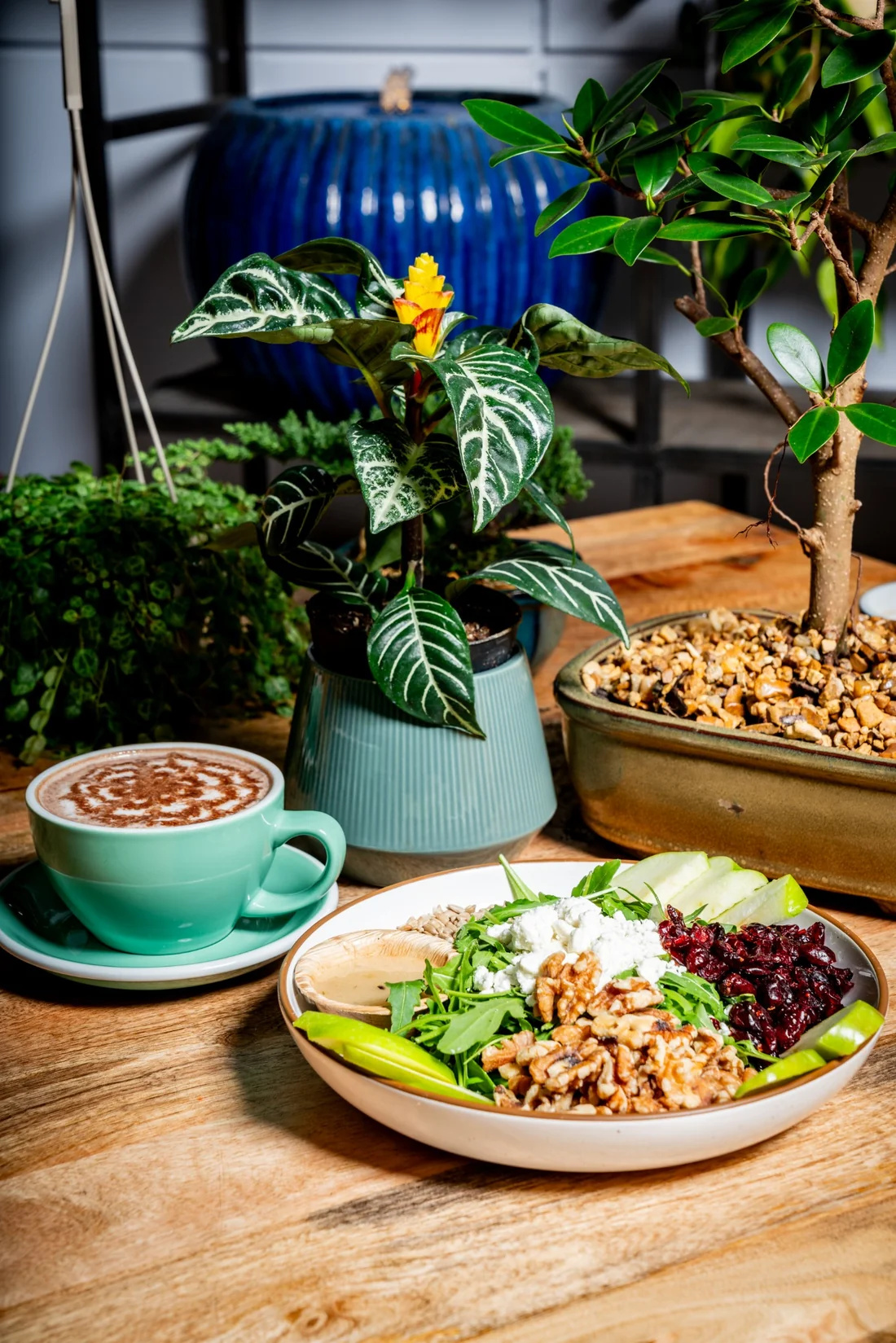 A mint-green coffee cup, apple and walnut salad, and leafy plants on a wooden café table